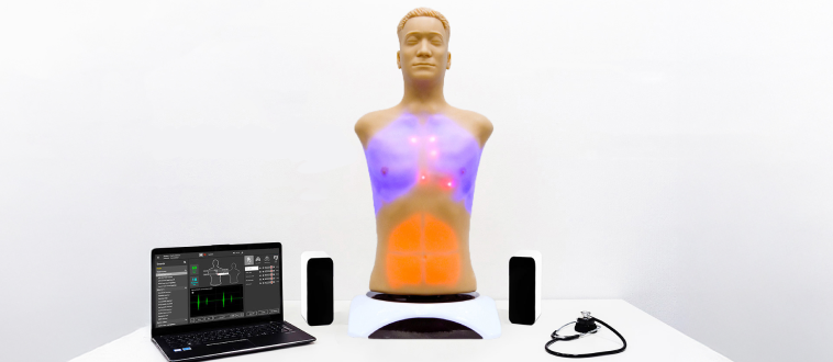 MATT auscultation for cardiac, lung and abdomen auscultation points and sounds practice.
