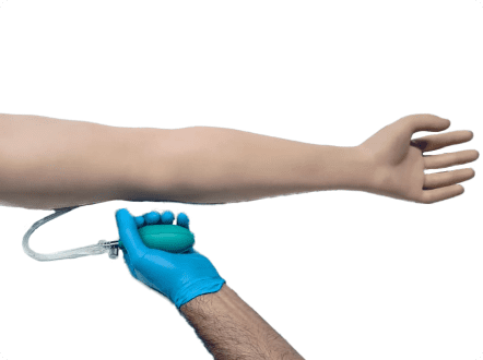 Adult arterial arm trainer for arterial puncture skill development.