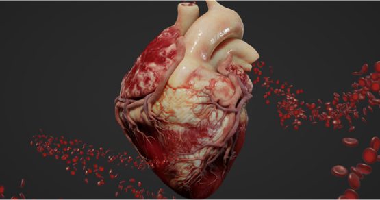 Virtual Reality Simulation Trainer – Immersive Holographic Healthcare Education | Maverick Simulation Solutions