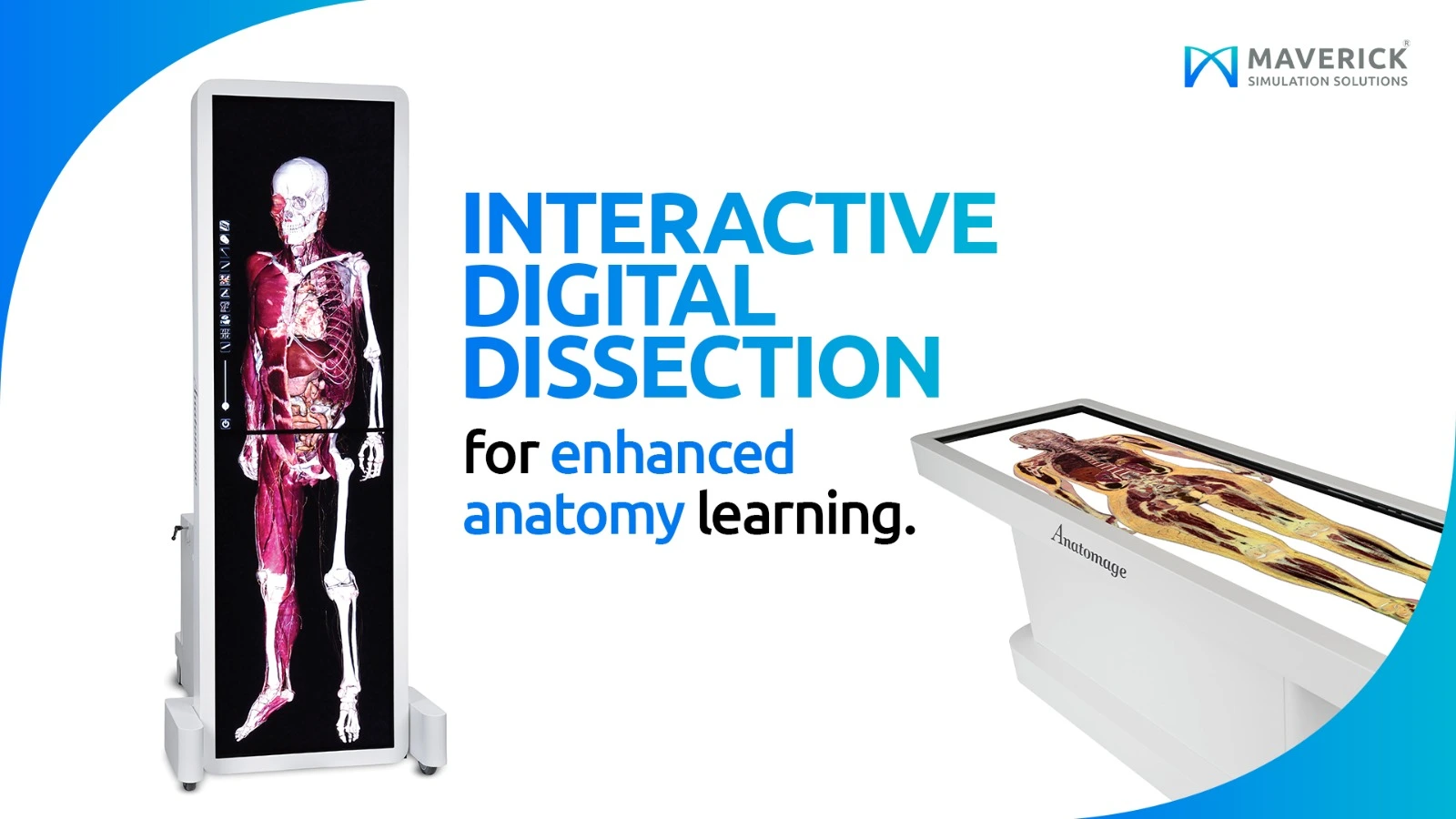 Virtual Dissection Table: Key Facts and Benefits