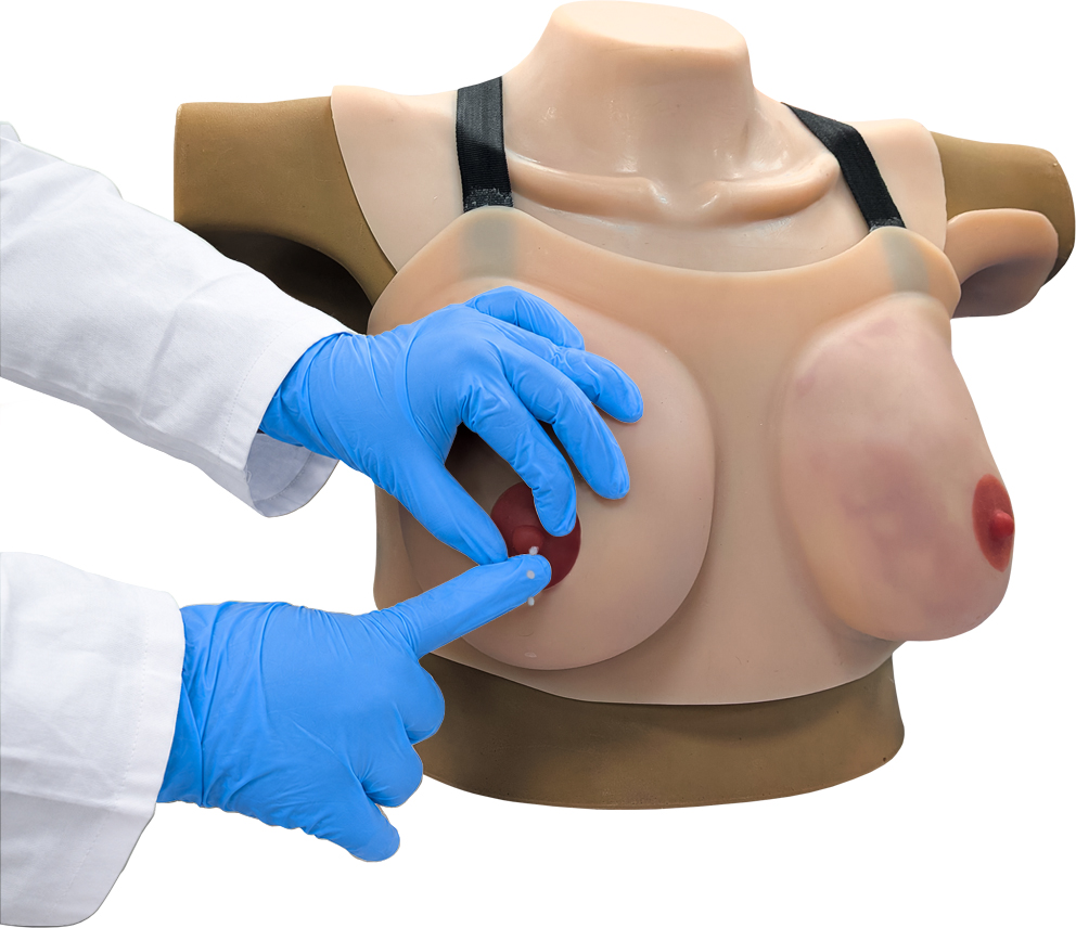 Medical breast examination mannequin