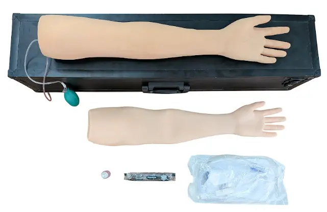 adult arterial arm
