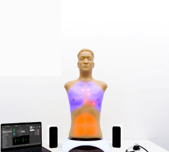 MATT auscultation for cardiac, lung and abdomen auscultation points and sounds practice.